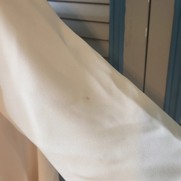 Badgley Mischka Ivory Lace Wedding Dress with Silk Overlay - Picture 12 of 16